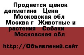 Продается щенок далматина › Цена ­ 8 000 - Московская обл., Москва г. Животные и растения » Собаки   . Московская обл.